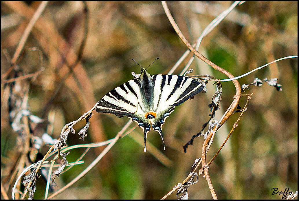 Uscite con i primi raggi di sole